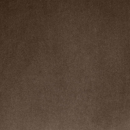 Gustavo 72.5" Brown Velvet Upholstered Loveseat