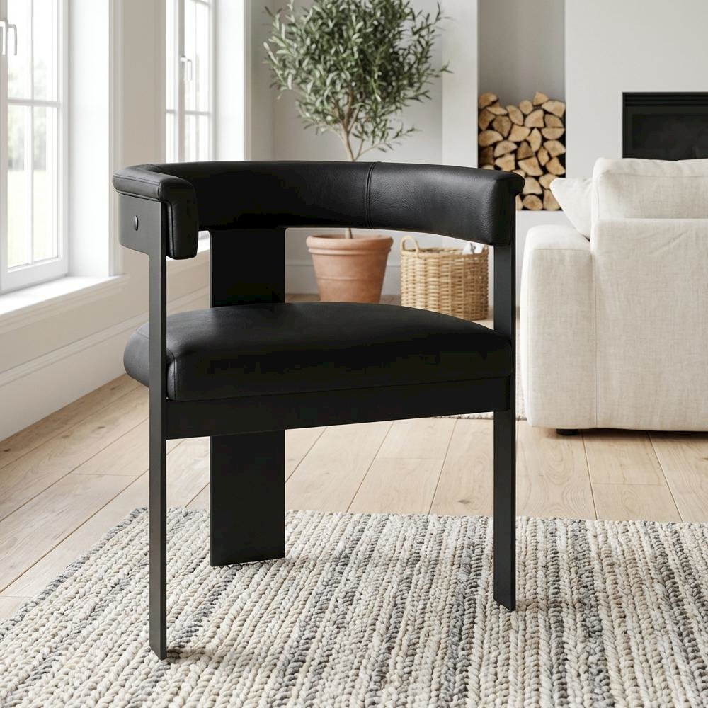 Matte Black Powder Coating Dining Chairs 2-Piece Set with Armrests