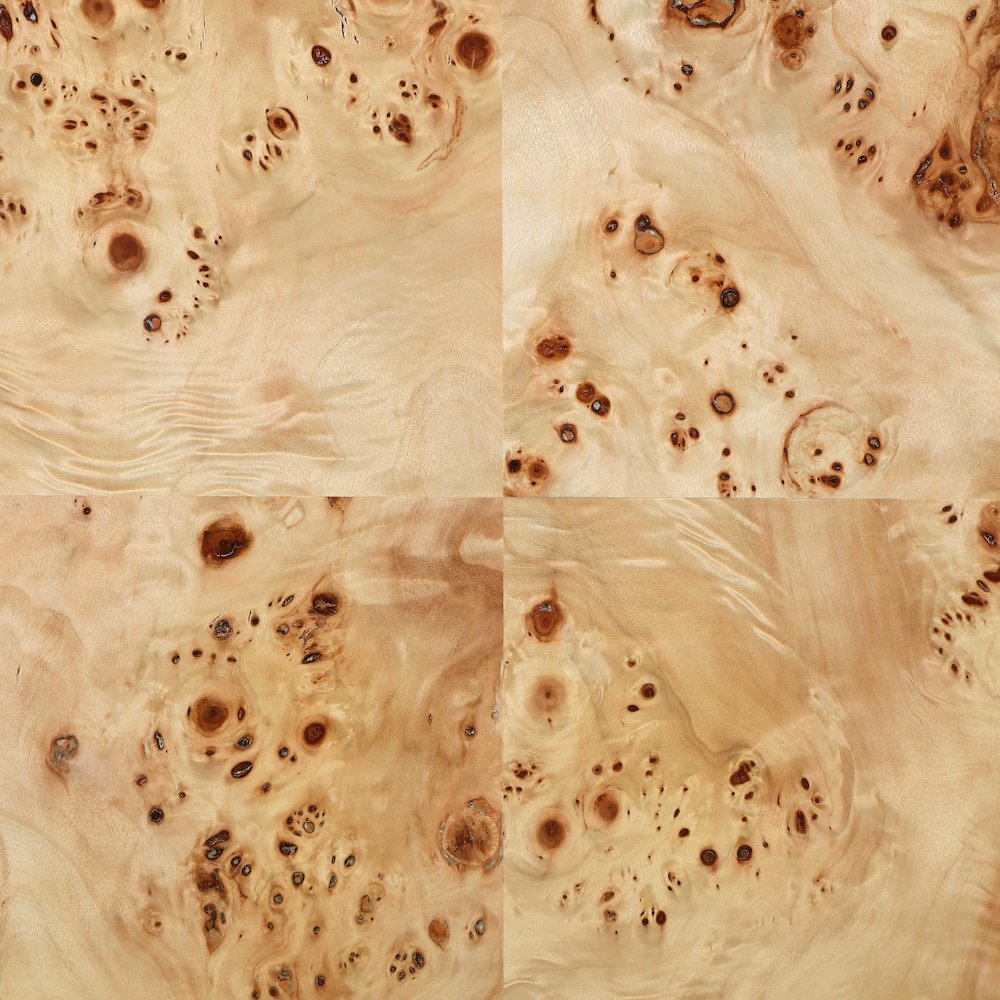 Vassa Natural Burl Veneer End Table