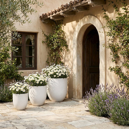 Florique Cream Indoor / Outdoor Concrete Planter