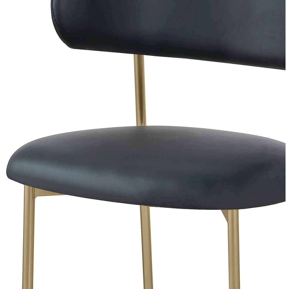 Lupita Black Vegan Leather Dining Chair, Set of 2