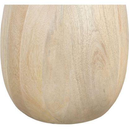 Canyon Natural Mango Wood End Table