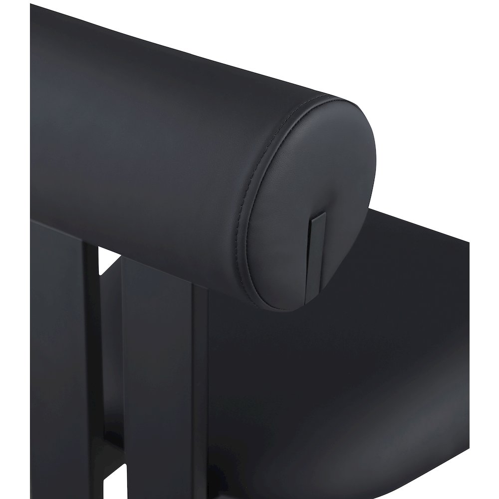 Dario Black Vegan Leather Dining Chair, Set of 2
