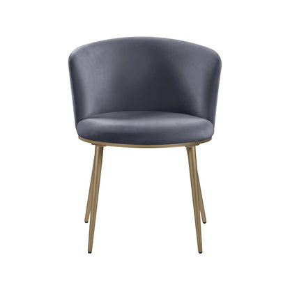 Skylar Grey Velvet Dining Chair, Set of 2