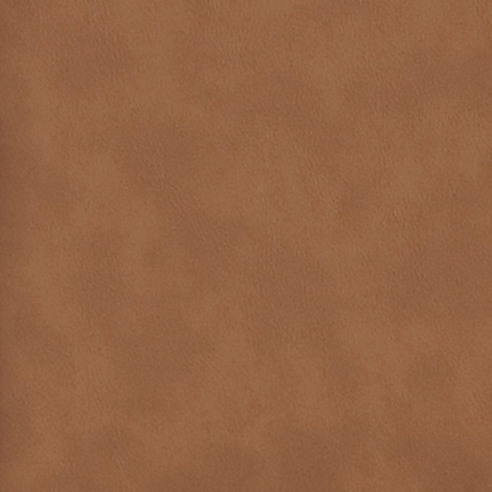 Adrian Cognac Vegan Leather Dining Arm Chair, Set of 2