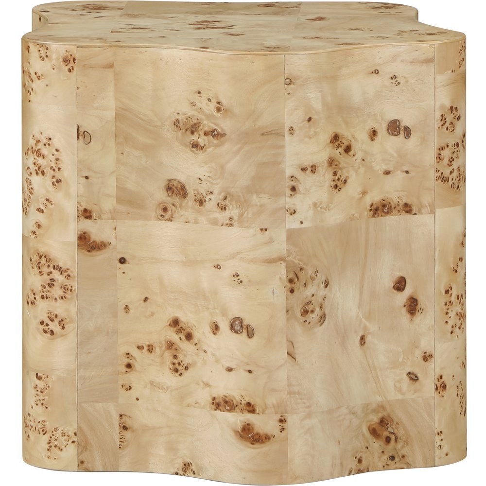 Zaire Natural Burl Wood End Table
