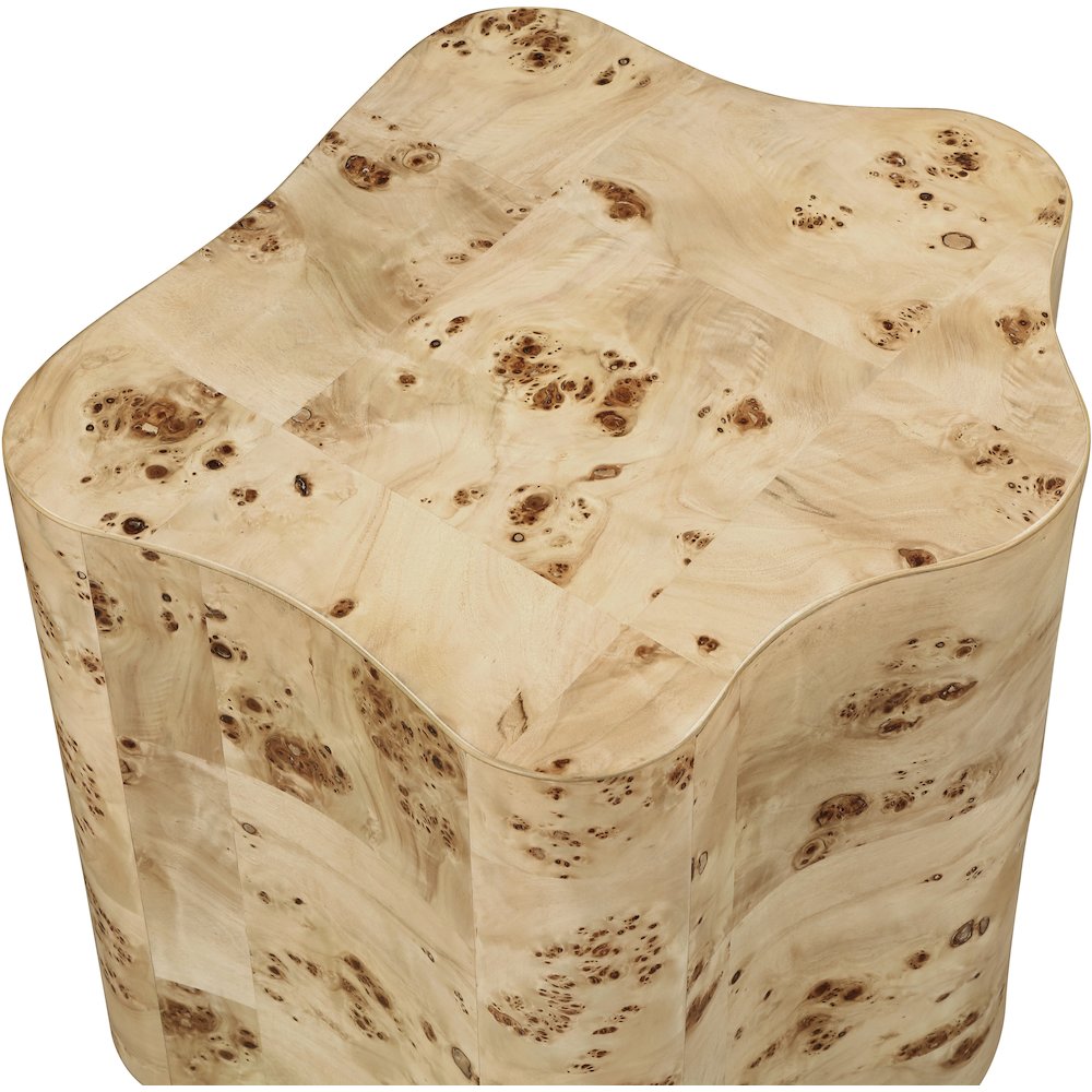 Zaire Natural Burl Wood End Table