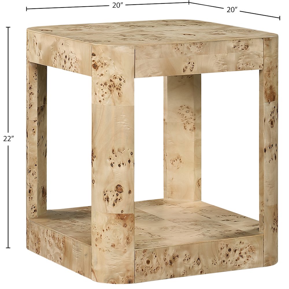 Reeves Natural Burl Wood End Table