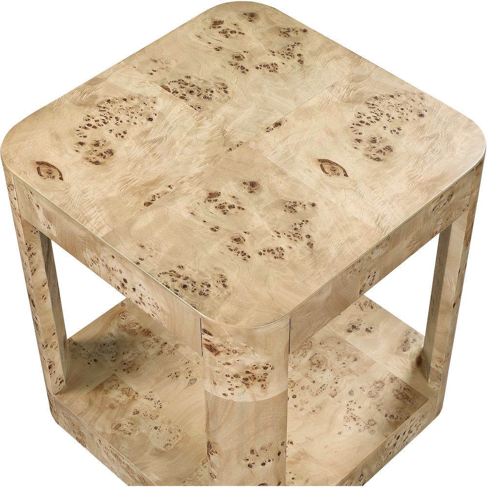 Reeves Natural Burl Wood End Table