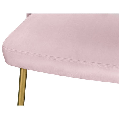 Logan Pink Velvet Dining Chair, Set of 2