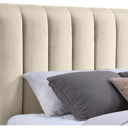 Amara Cream Velvet Upholstered Queen Bed