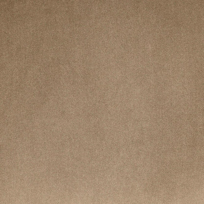 Dawson Beige Velvet Upholstered Queen Bed