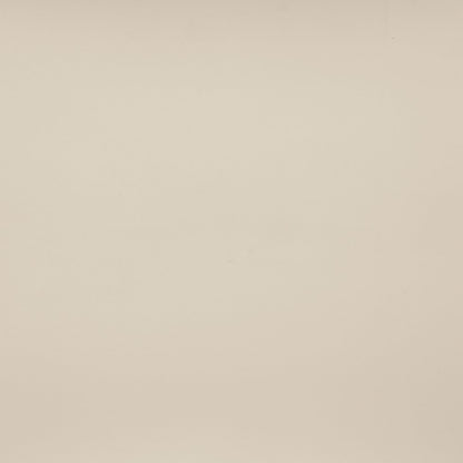 Warby Beige Vegan Leather Upholstered Queen Bed