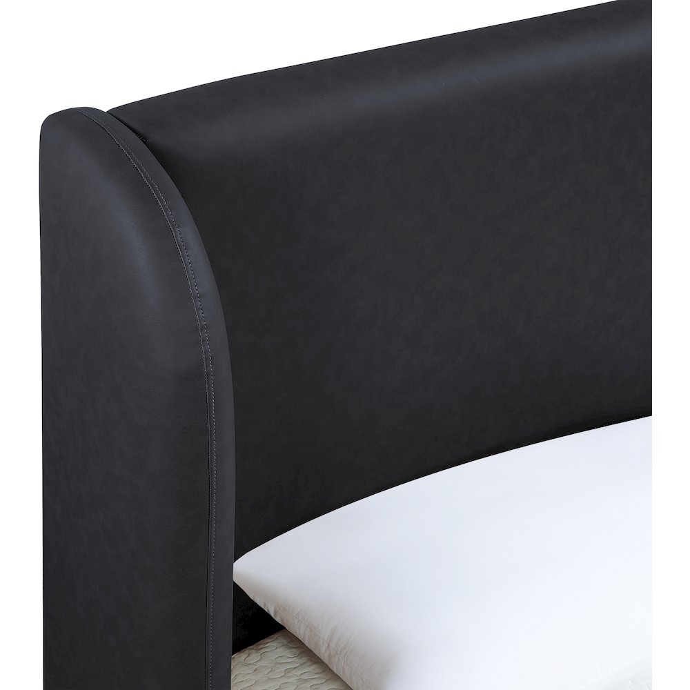 Warby Black Vegan Leather Upholstered Queen Bed