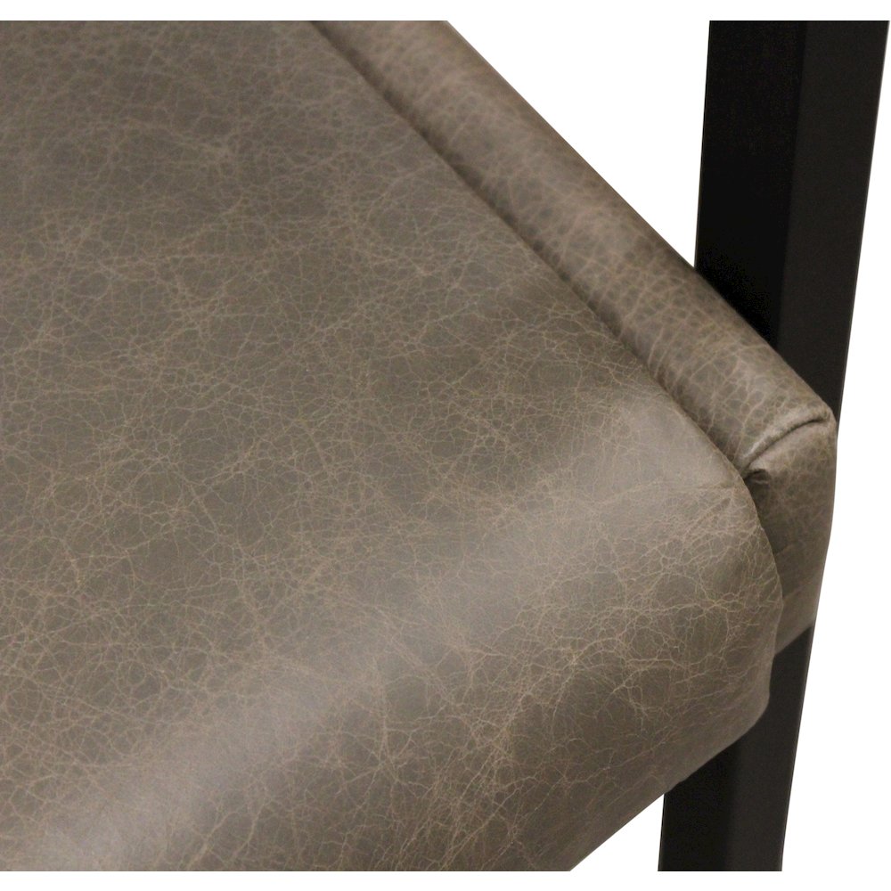 Wendy Arm Chair in Gray Leather 2-Piece Set