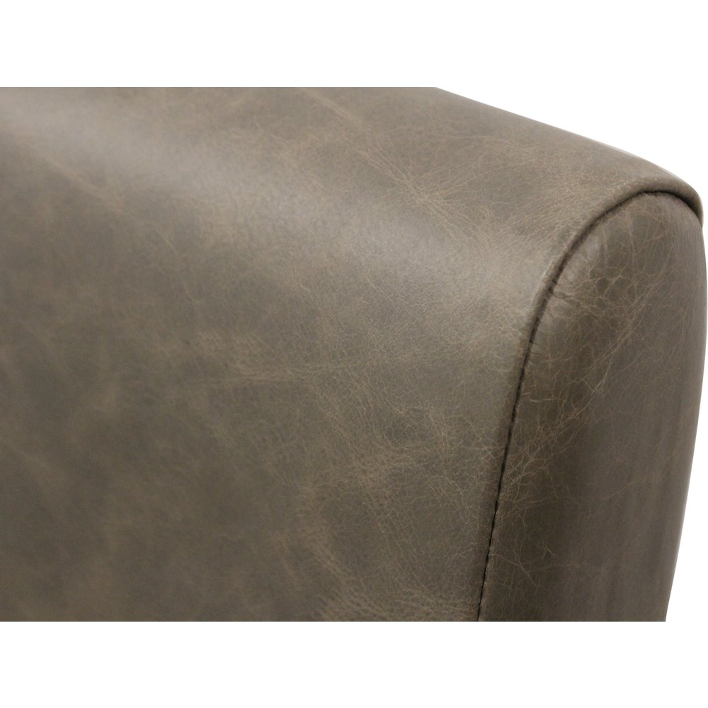 Wendy Arm Chair in Gray Leather 2-Piece Set