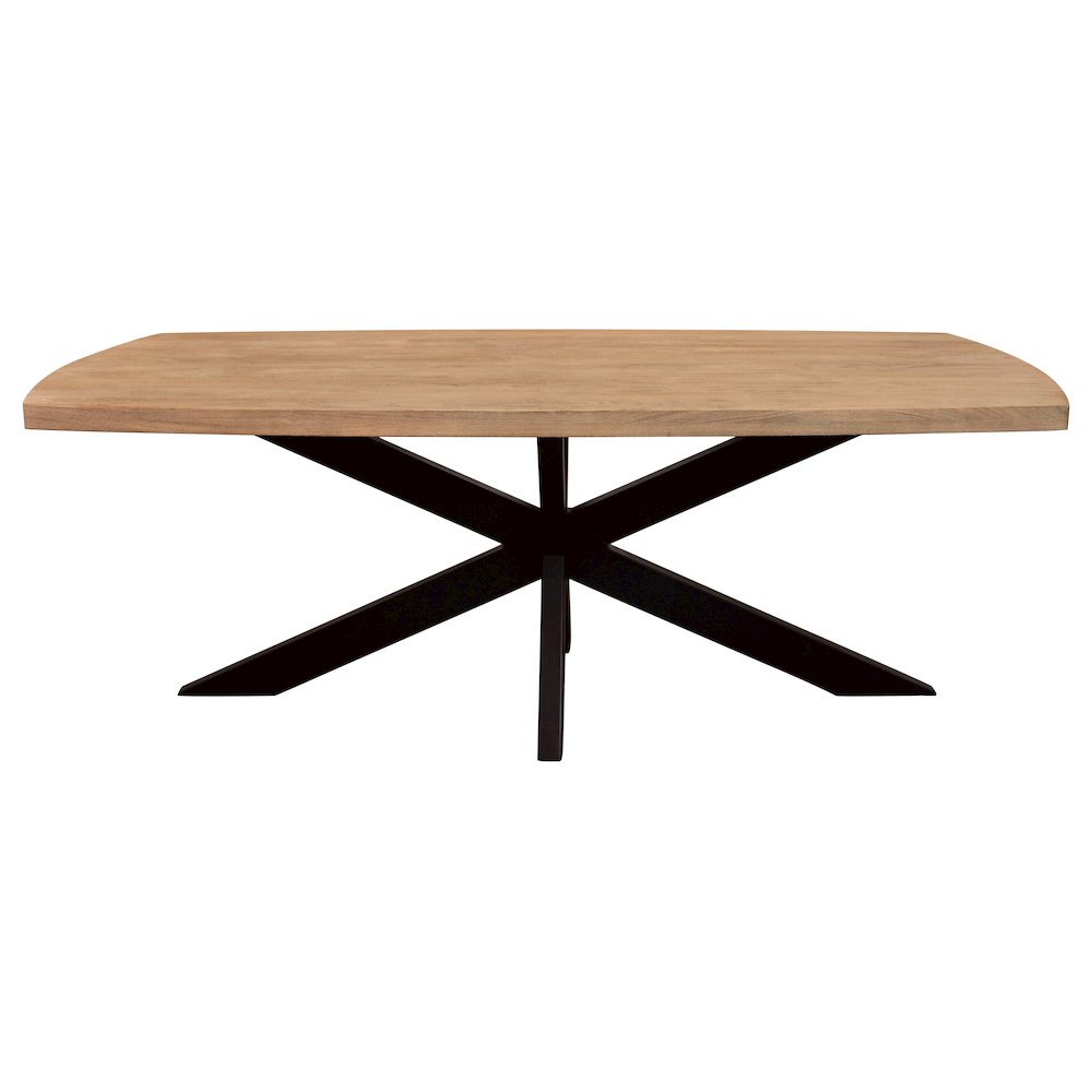Logan 82" Dining Table with 8 Trish Rust Arm Chairs