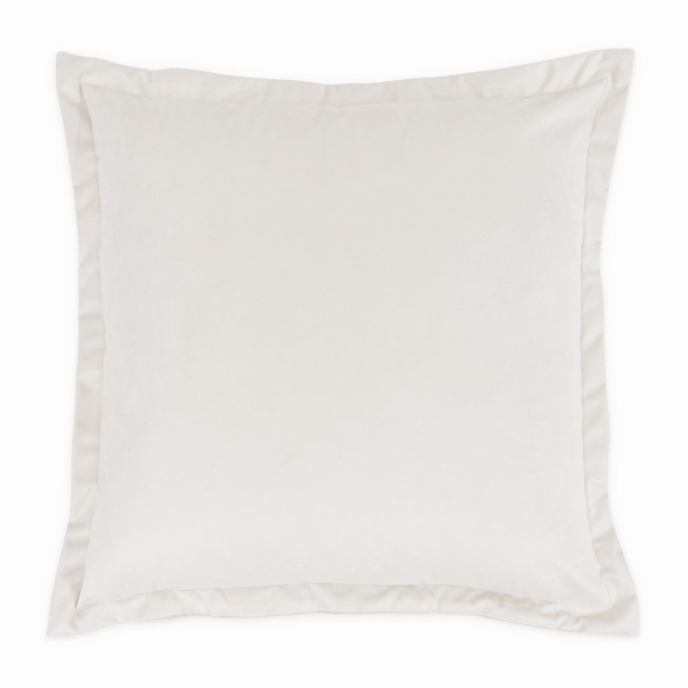Conner 20" Velvet Throw Pillow, Set of 2 - Cloud