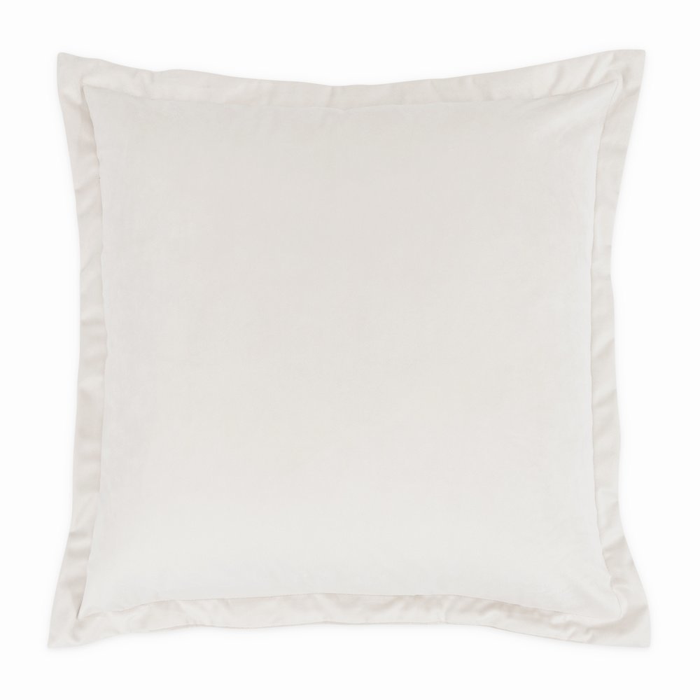 Conner 20" Velvet Throw Pillow, Set of 2 - Cloud
