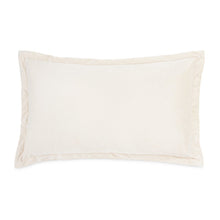 Conner 13" x 22" Oblong Velvet Pillow, Set of 2 - Cloud