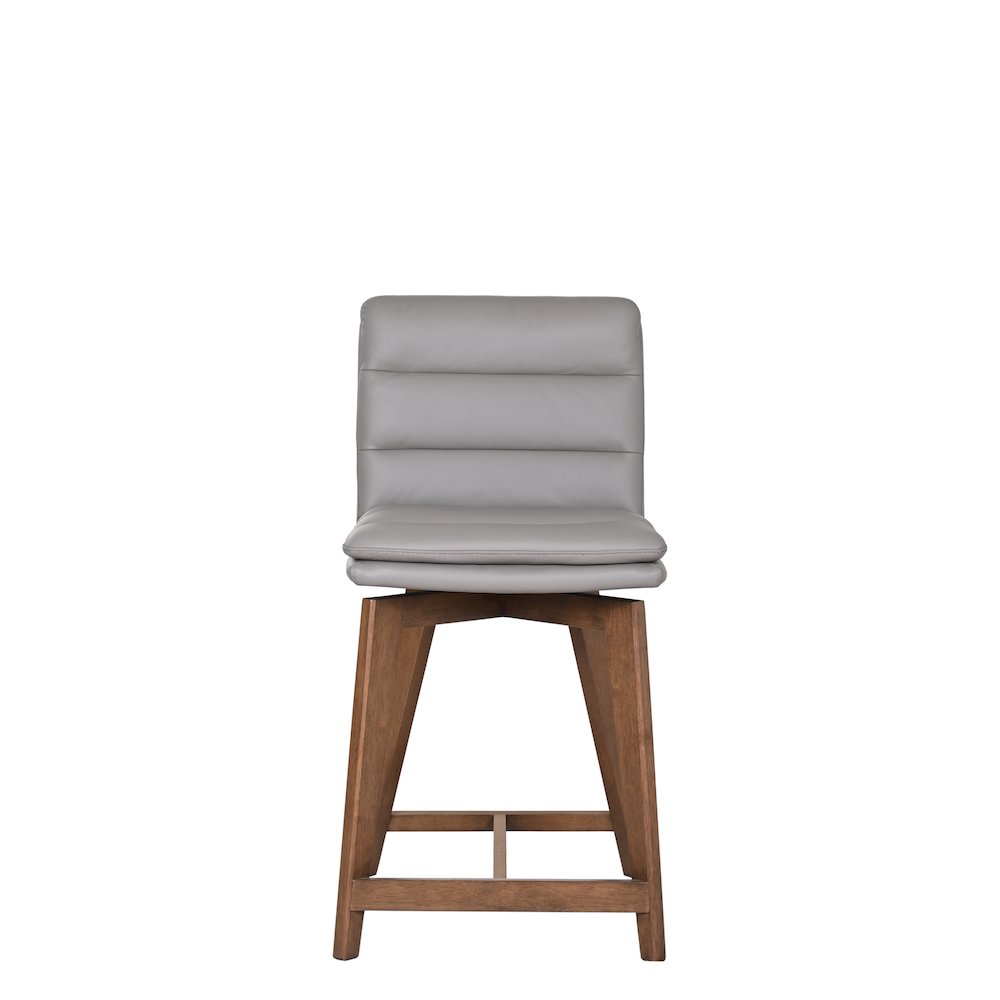 Castor Genuine Leather Dining Chair, Gray (Set of 2)