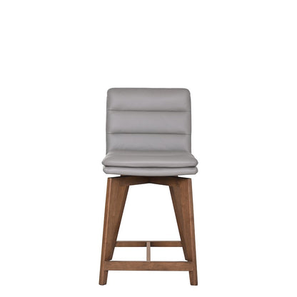 Castor Genuine Leather Dining Chair, Gray (Set of 2)