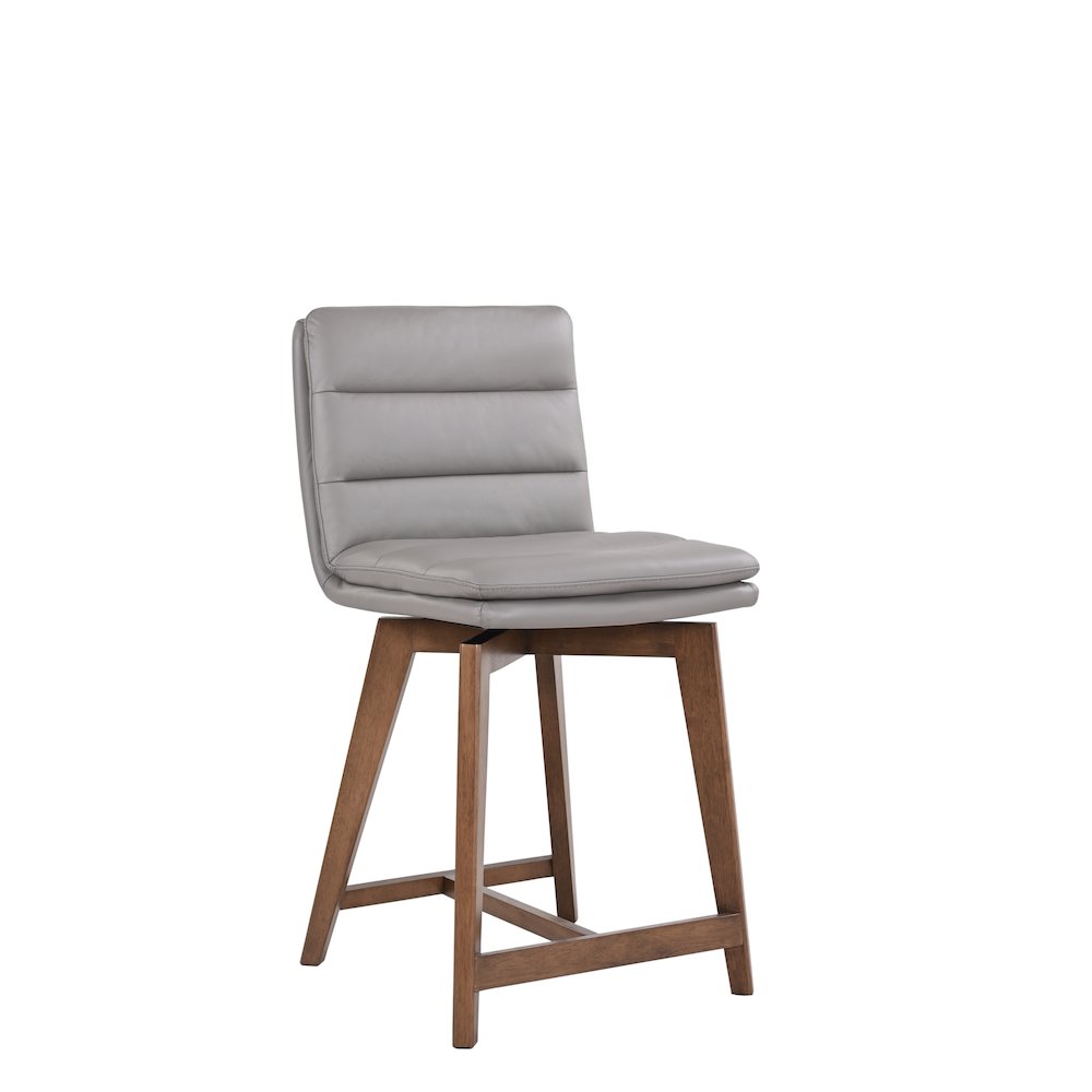 Castor Genuine Leather Dining Chair, Gray (Set of 2)