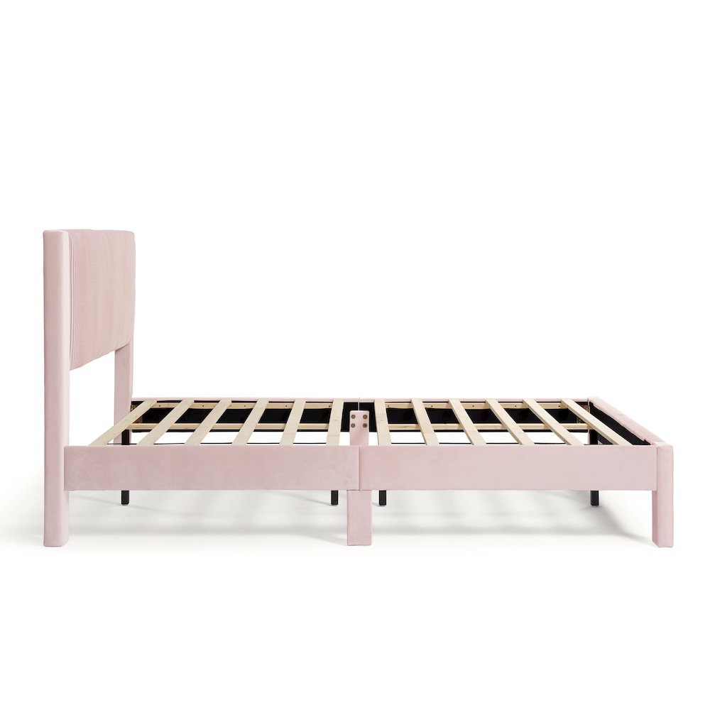 Dina Adult Queen Velvet Fabric Platform Bed, Pink