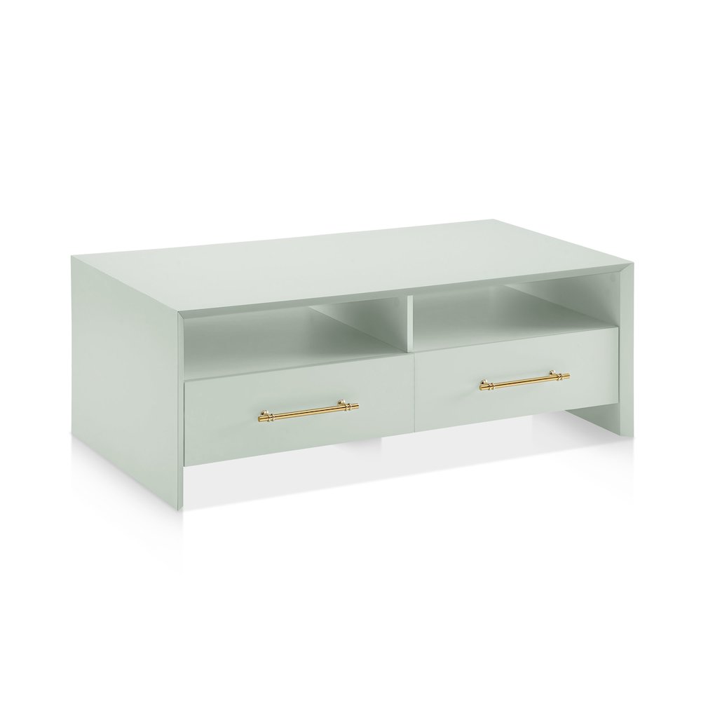 Elvora Modern Wood 2-Drawer and 2-Shelf Coffee Table