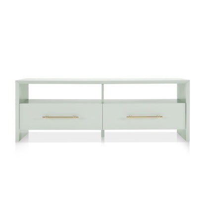 Elvora Modern Wood 2-Drawer and 2-Shelf Coffee Table