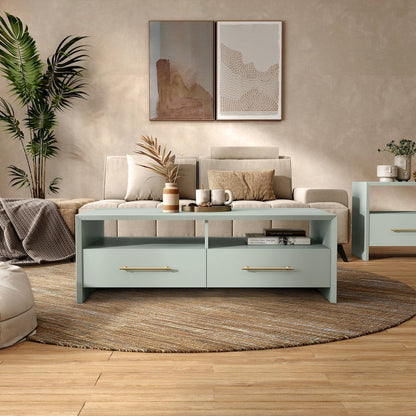 Elvora Modern Wood 2-Drawer and 2-Shelf Coffee Table