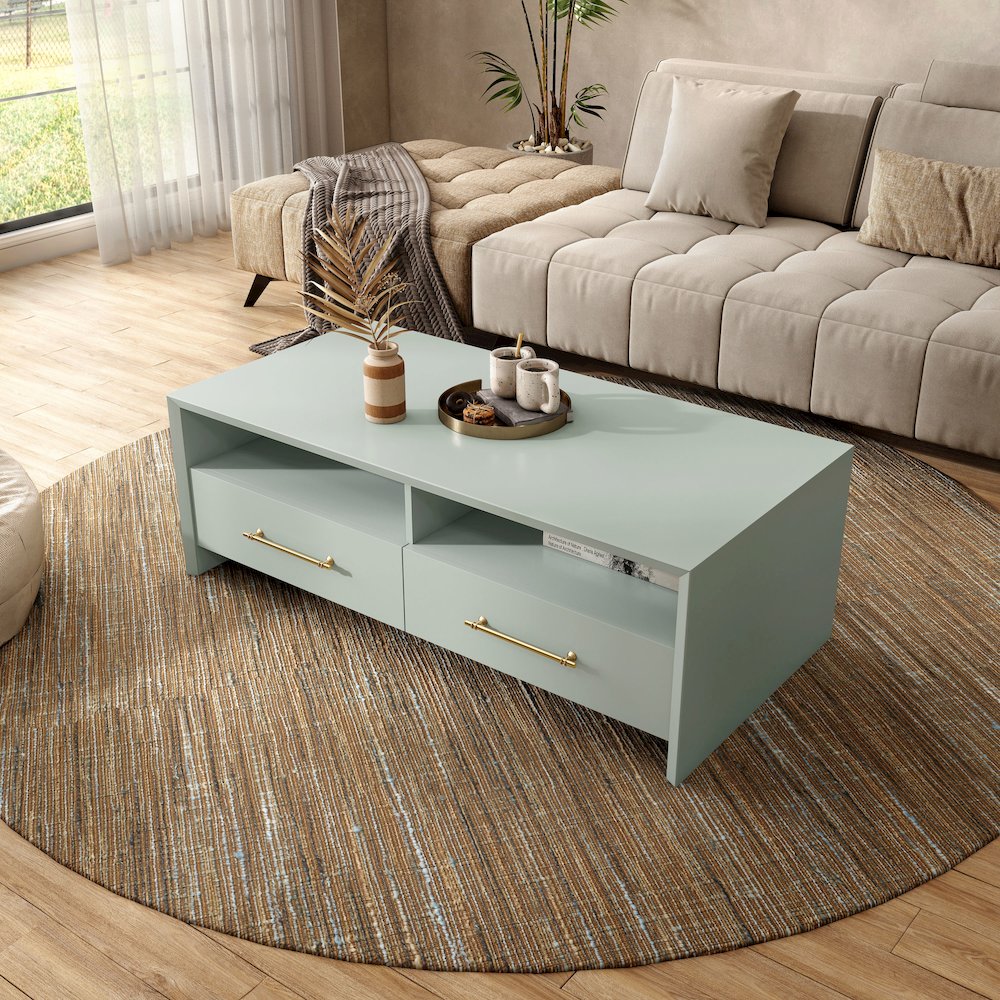 Elvora Modern Wood 2-Drawer and 2-Shelf Coffee Table