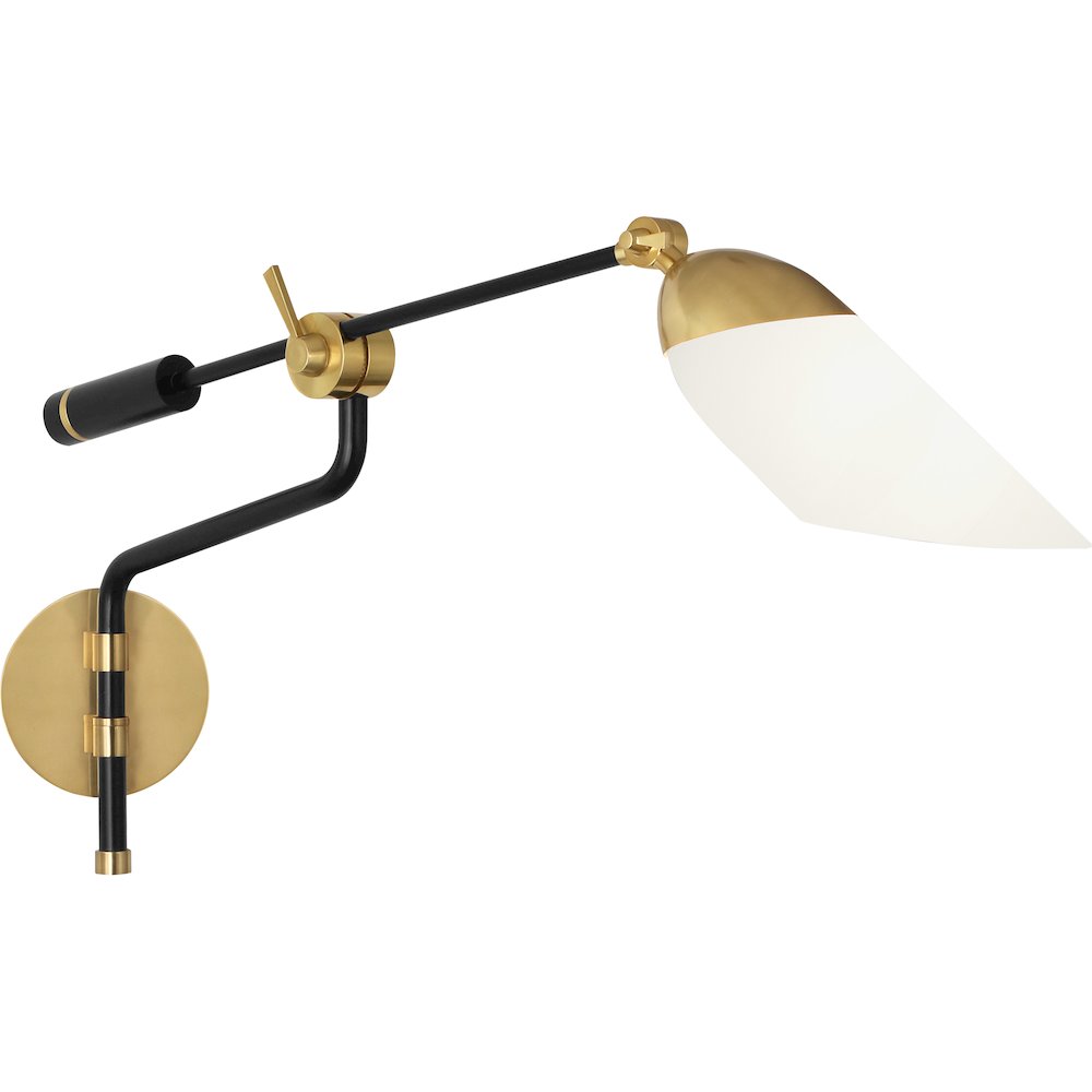 Ferdinand Wall Swinger in Matte Black Painted Color