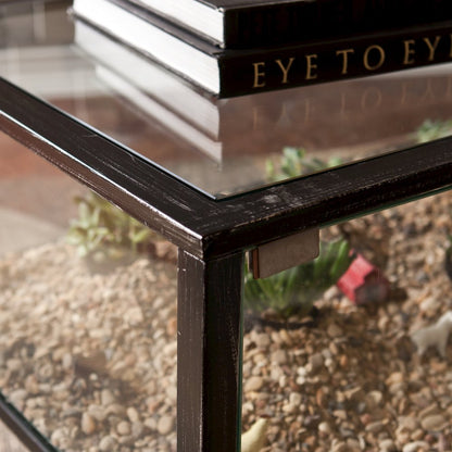 Terrarium Display Cocktail Table