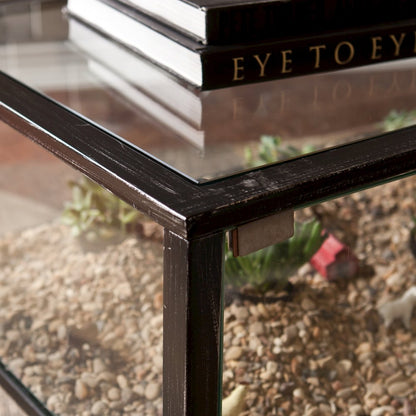 Terrarium Display Cocktail Table