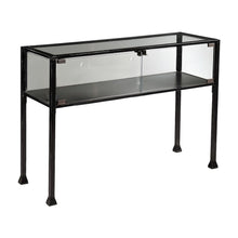 Metal and Glass Console Table with Enclosed Terrarium Display for Entryway
