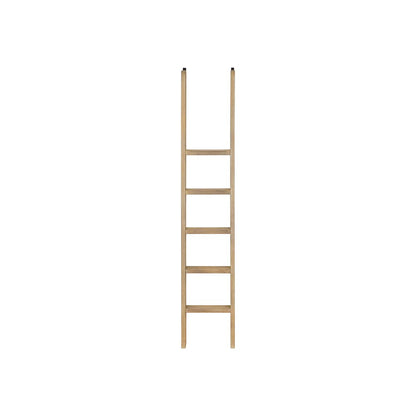 Contemporary Decorative Wooden Ladder, Brown