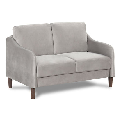 Theo Modern Velvet Fabric Loveseat Sofa in Gray