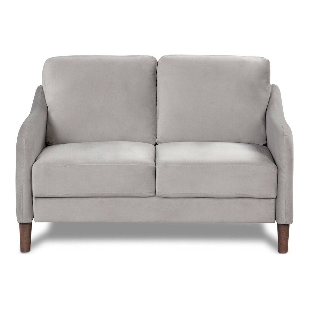 Theo Modern Velvet Fabric Loveseat Sofa in Gray