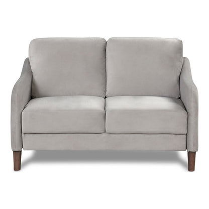 Theo Modern Velvet Fabric Loveseat Sofa in Gray