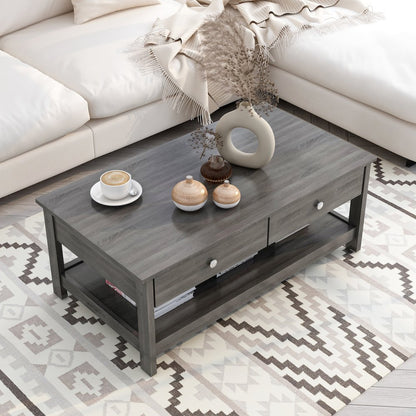 Lekwick Transitional Wood 2-Drawer Coffee Table in Gray