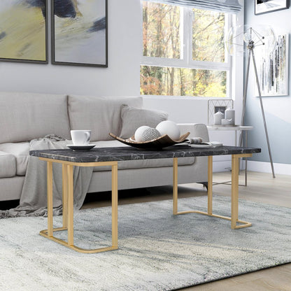 Clotten Modern Metal Coffee Table in Black
