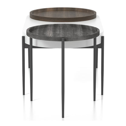 Hylen Metal 2-Piece Coffee Table Set