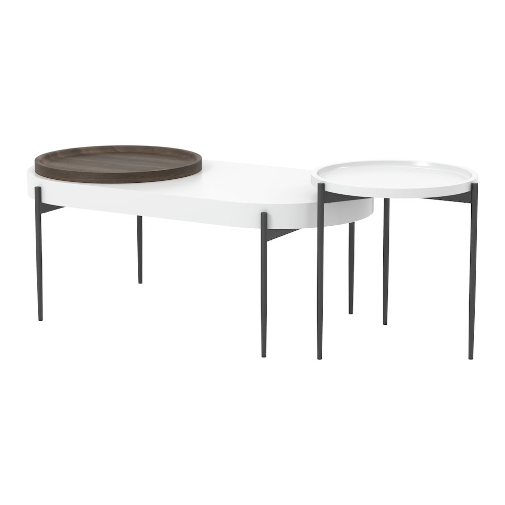 Hylen Metal 2-Piece Coffee Table Set