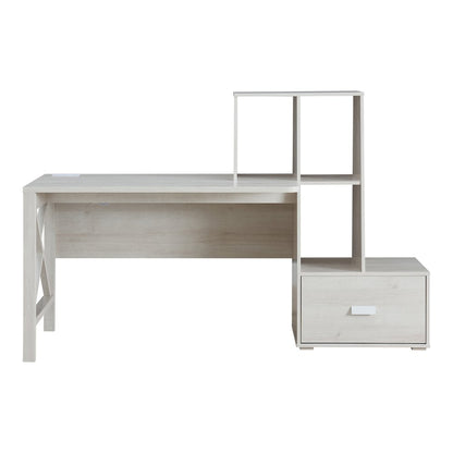 Axela Wood Multi-Storage Desk