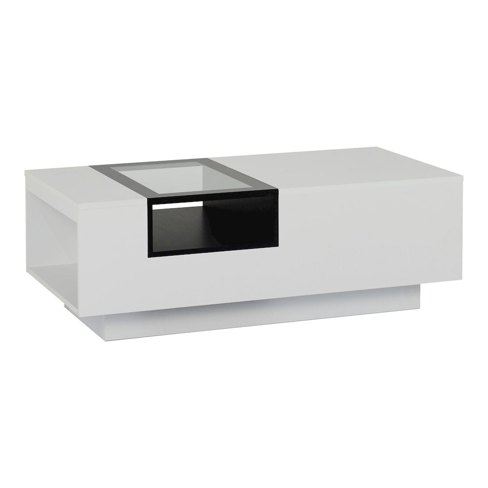 Sydney Modern Wood Storage Coffee Table in White and Black