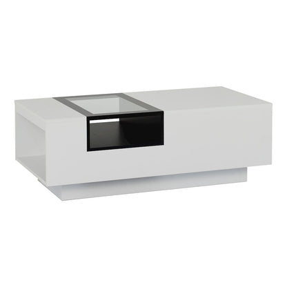 Sydney Modern Wood Storage Coffee Table in White and Black