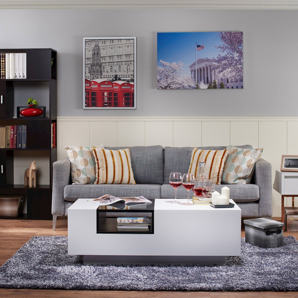 Sydney Modern Wood Storage Coffee Table in White and Black