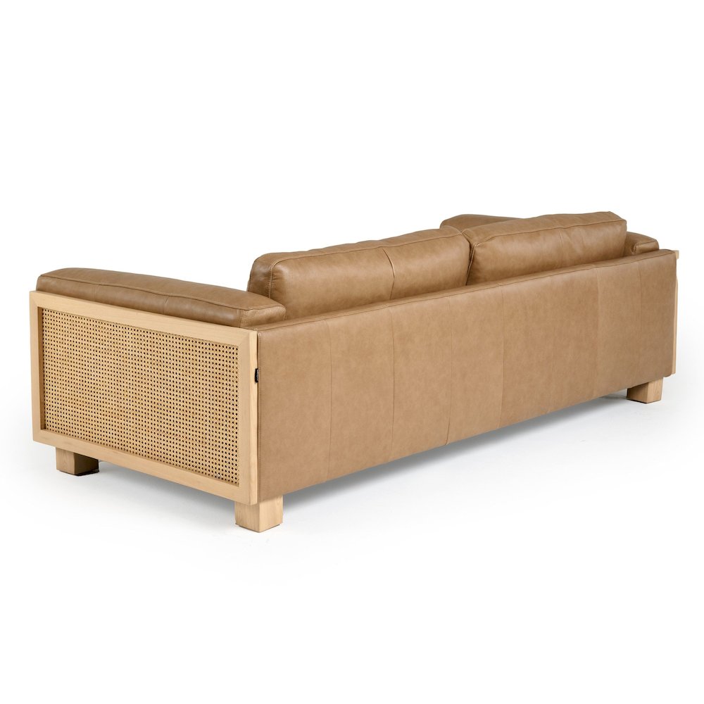 Danson - Modern Tan Leather Wicker Sofa
