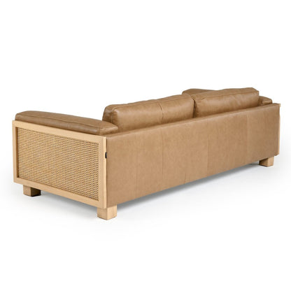 Danson - Modern Tan Leather Wicker Sofa